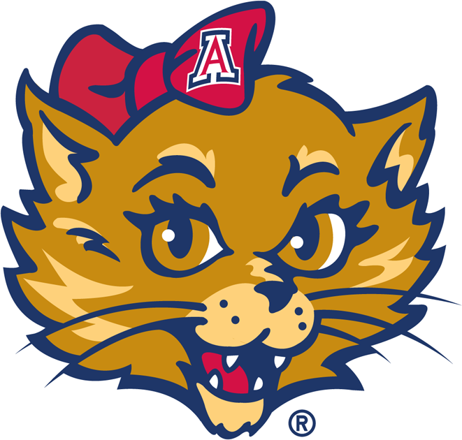 Arizona Wildcats 2003-Pres Mascot Logo t shirts DIY iron ons v3